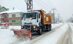 Van'da Hayat Durdu: Kar Yağışı Her Yeri Beyaza Bürüdü