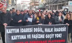 Van'da kayyum protestosu