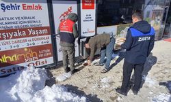 Doğanşehir'de sokak hayvanları için sokak ve caddelere yem bırakıldı