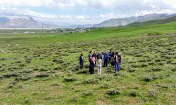 Van ve çevre illerde yöresel yiyecekleri lezzetlendiren bitkiler bilinçlendirme faaliyetleriyle korunuyor
