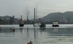 Batı Karadeniz Çevre Gönüllüleri'nden ERDEMİR hakkında, hava kirliliğine neden olduğunu iddiasıyla suç duyurusu