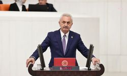 CHP’li Çiler'den GES projesine tepki: "Çanakyayla köyü merası sadece bir arazi değil, bölge hayvancılığının bel kemiğidir"