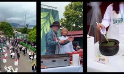 Giresun'da "yeşil sofra" yeniden kuruluyor... "Giresun’un Yeşil Lezzetleri" festivali 24-25 Mayıs'ta düzenlenecek 
