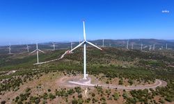 İzmir’in doğal yaşamı güvence altına alınacak