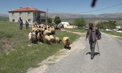 Malatya’da zorlu göç: Yaylaya geç çıkan yetiştiriciler hem yol hem geçim derdinde