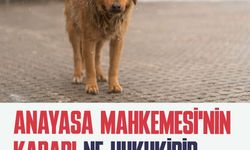 TİP: "Anayasa Mahkemesi, yaşamı değil, iktidarı ve şiddet politikalarını seçti"