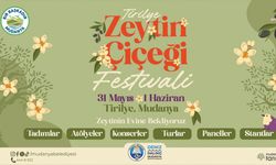 Tirilye’de Zeytin Çiçeği Festivali coşkusu