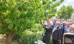 TZOB Genel Başkanı Şemsi Bayraktar: 6 Şubat depremi gibi 65 vilayetimizde büyük bir don felaketiyle karşı karşıya kaldık