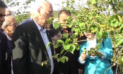 TZOB Genel Başkanı Şemsi Bayraktar: Fındık yoksa sosyal yaşamda yok demektir, fındık yoksa hayat yok demektir