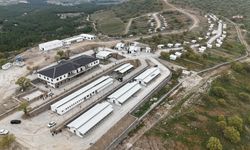 Yunusemre Hayvan Yaşam Merkezi'nin ilk etabı yarın açılıyor 