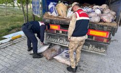 19 ton 200 kilogram inci kefali ele geçirildi