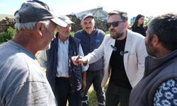 Ardahan'daki "Bilim Kafe" etkinliğinde 2 bin rakımlı yaylada buzağıların ölüm nedenleri anlatıldı