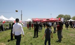 Muş'ta çocuklar Büyük Aile Festivali'nde doyasıya eğlendi