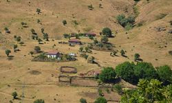 Muş'ta huzur ortamının sağlandığı Şenyayla bölgesine 100 hane dönüş yaptı