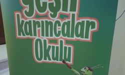 Adalar Belediyesi'nden Dünya Çevre Günü kapsamında eğitici etkinlik 
