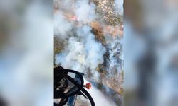 İzmir Foça’daki orman yangının çıkış nedeni belli oldu