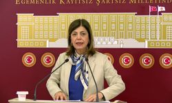 Meral Danış Beştaş: "Kutsal olan aile değildir; kutsal olan onurlu bir yaşamın tesisidir"