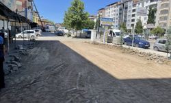 Kovancılar Belediyesi'nden yol, peyzaj ve çevre düzenleme çalışması