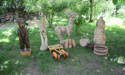 Kuruyan ağaçları sanat eserine dönüştürüyor