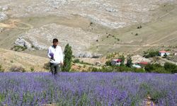 Malatyalı genç üretici lavantayla kıraç araziden gelir sağladı