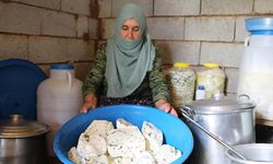 Vanlı besiciler 2 bin 700 rakımdaki yaylada otlu peynir üretiyor