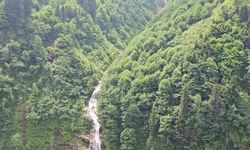 Çevreciler Aydın'dan Karadeniz'e seslendiler: "Havama, suyuma, toprağıma dokunma"