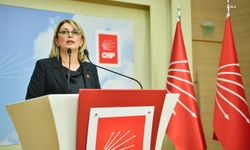 CHP'li Asu Kaya: Kadınların özgür ve güvenli yaşamadığı bir ülkede doğurganlık artmaz
