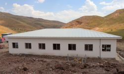 Hakkari'deki doğal yaşam alanlarında 1686 sahipsiz köpek barındırılıyor