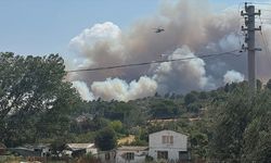 Çanakkale'de yangına müdahale ediliyor