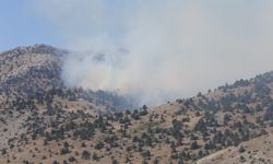 Kahramanmaraş’ta çıkan orman yangınına müdahale sürüyor
