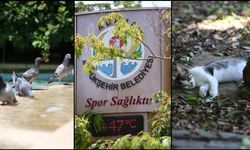 Öğlene kadar 16 kentte sıcaklık 40 dereceyi gördü