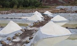Sivas'ın "esmer tuzu" Japonya'da