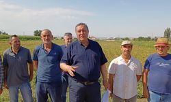 15 yılda 750 bin çiftçi sosyal güvenlik kapsamından çıktı