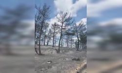 Çanakkale Belediyesi: Özel Koruhan Yaşlı Bakım Merkezi tahliye edildi