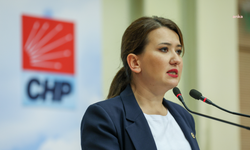 CHP'li Gökçen: "CHP'nin yeni komisyon üyesi Umut Akdoğan olarak bildirilecek"
