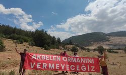 Danıştay'dan Akbelen kararı: ÇED muafiyeti yeniden incelenecek