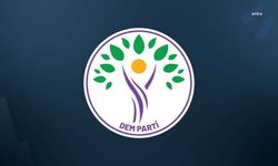 DEM Parti’den partiden ihraç edilen Silopi Belediye Eş Başkanı Ormanlı’ya istifa çağrısı