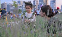 Keçiören’de lavanta kokulu festival coşkusu