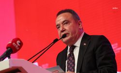 Muhittin Böcek: "Geri dönüşü olmayan bir ihtimalin kurbanı olmak istemiyorum"