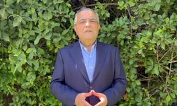 Sezgin Tanrıkulu: "KHK ile mağdur edilenler de komisyon gündeminde olmalı"