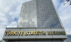 TÜİK: Temmuz ayında en fazla reel getiri BIST 100 endeksinde oldu