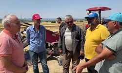 Üzüm üreticileri isyan etti: "Enflasyonla yarışamıyoruz"