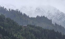 Rize’nin yüksek yaylaları kara teslim oldu
