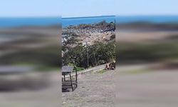 Karadeniz’de Fırtına Sonrası Sahile Vuran Odunlar İhtiyaç Sahiplerine Umut Oldu