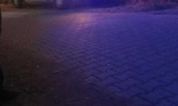 Muğla Köyceğiz’de dehşet: Genç, annesini av tüfeğiyle öldürdü