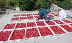 Doğanşehirli Kadınlar Üreterek Ev Ekonomisine Katkı Sağlıyor
