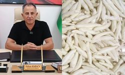 İlçenin ilk coğrafi işaretli ürünü olabilir