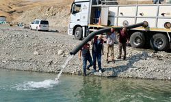 Malatya’daki göl ve göletlere 1 milyon 73 bin yavru sazan bırakıldı