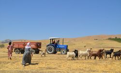 5 ay süren yayla yolculuğu sona erdi