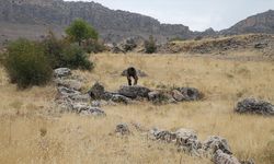 Adıyaman’da 1600 Yıllık Şarap Üretim Alanı Gün Yüzüne Çıkarıldı